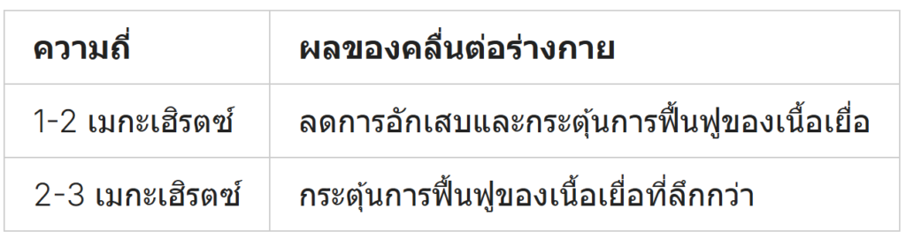 2 Prapatsorn Medical เครื่องมือกายภาพบำบัด และตรวจปอด