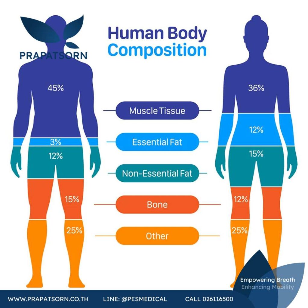 body composition Prapatsorn Medical เครื่องมือกายภาพบำบัด และตรวจปอด