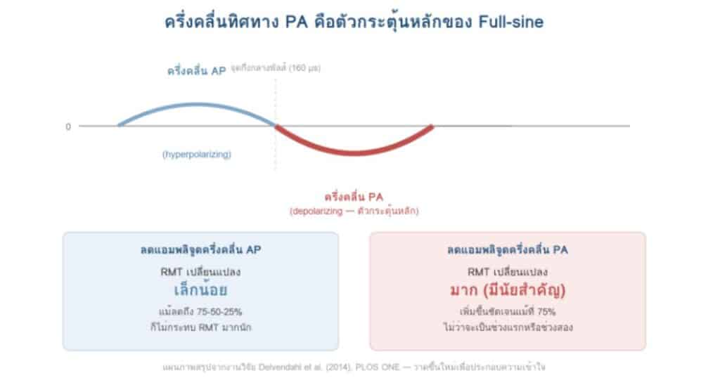 3 Prapatsorn Medical เครื่องมือกายภาพบำบัด และตรวจปอด