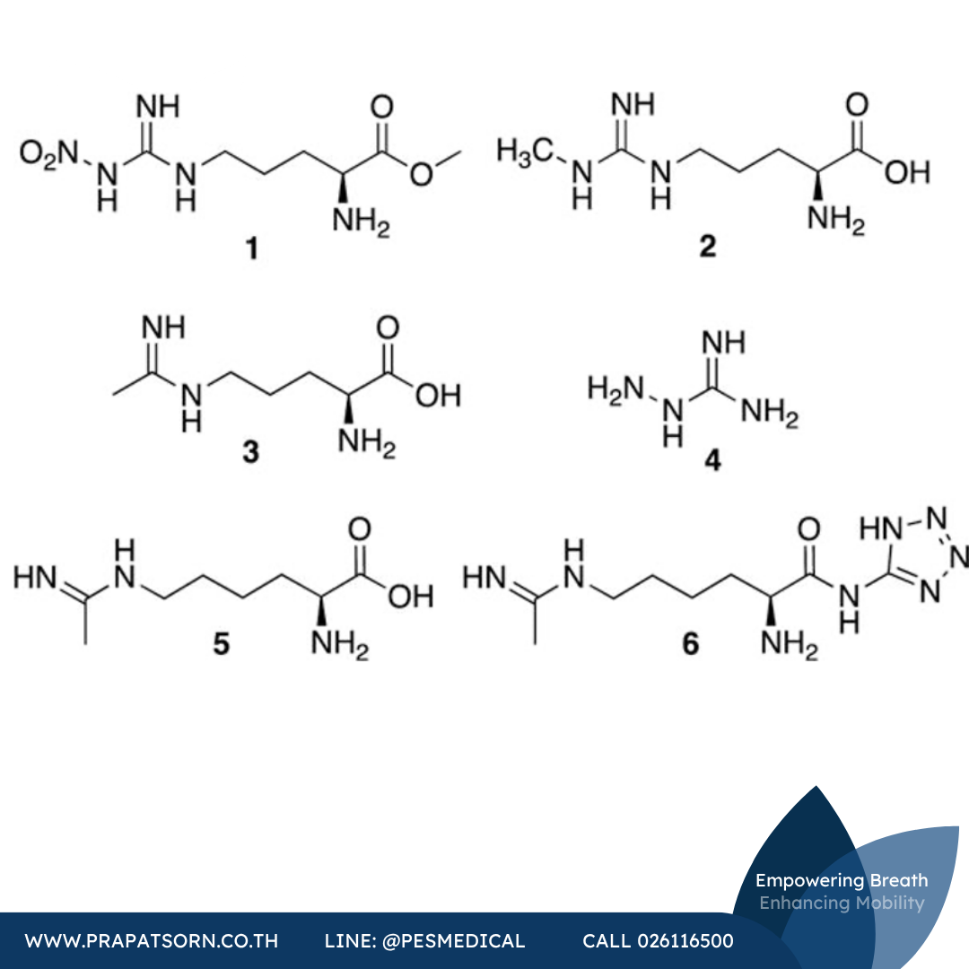 103 Prapatsorn Medical เครื่องมือกายภาพบำบัด และตรวจสมรรถภาพปอด