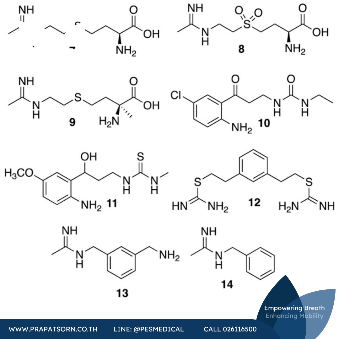 104 Prapatsorn Medical เครื่องมือกายภาพบำบัด และตรวจสมรรถภาพปอด