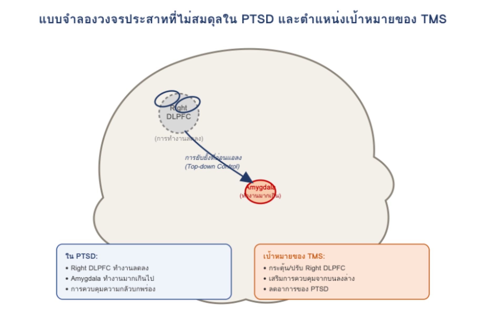 PTSD TMS Prapatsorn Medical เครื่องมือกายภาพบำบัด และตรวจสมรรถภาพปอด