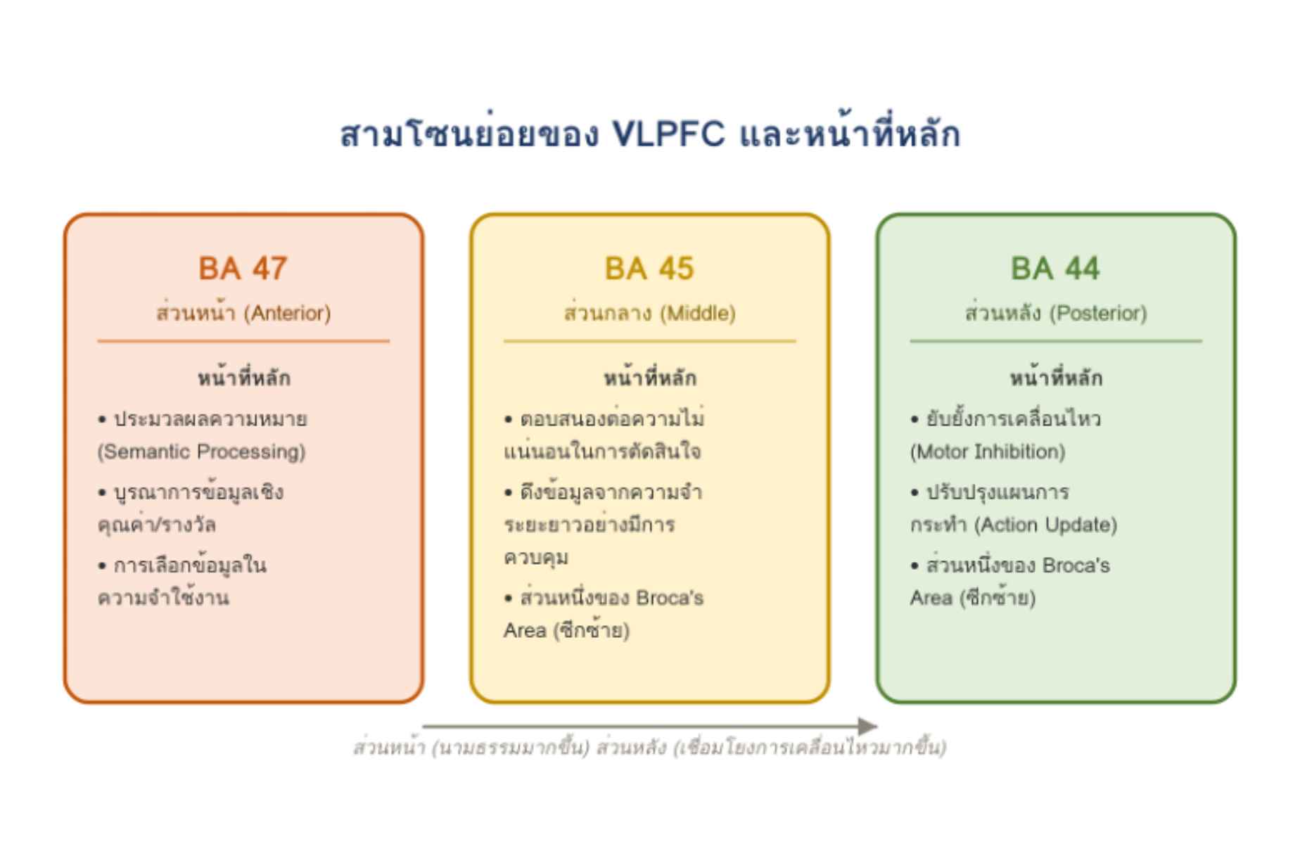VLPFC Prapatsorn Medical เครื่องมือกายภาพบำบัด และตรวจสมรรถภาพปอด